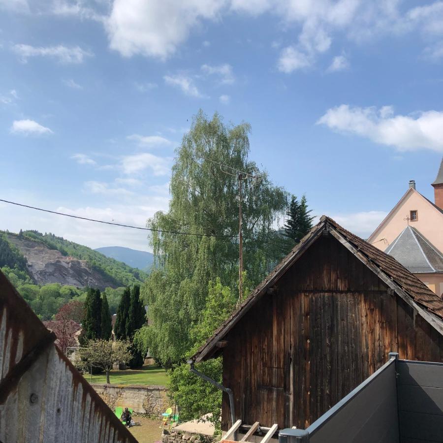 Appartement Vintage A L Ancienne Forge Muhlbach-sur-Munster 외부 사진
