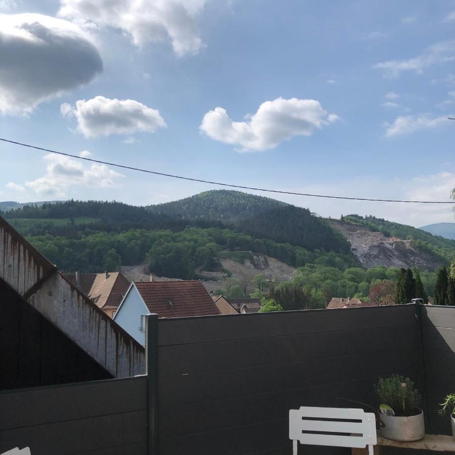 Appartement Vintage A L Ancienne Forge Muhlbach-sur-Munster 외부 사진